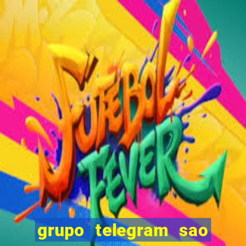 grupo telegram sao jose do rio preto